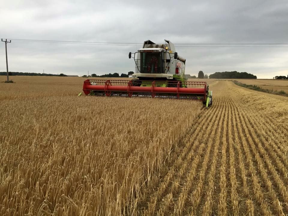 Glover Agricultural Services combine harvesting service.